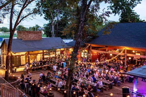 A large group of people are gathered in an outdoor setting with string lights and trees.