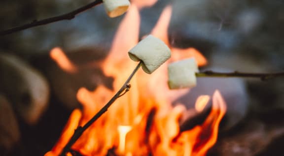 roasting marshmallows on a camp fire  at Hidden Creek, Maryland