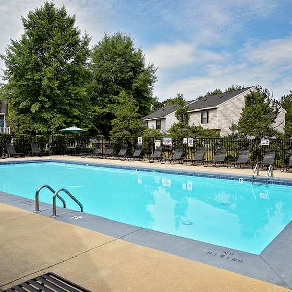 A large swimming pool surrounded by trees and lounge chairs.