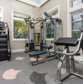 Fitness center at Miro at the Parc, Nevada 89074