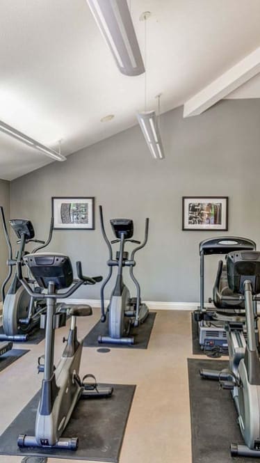 Cardio Machines in Gym at Mission Sierra Apartments, Union City, 94587