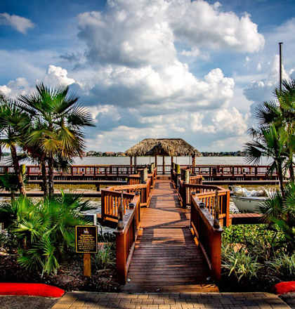 a dock with a thatched roof and palm trees on either side