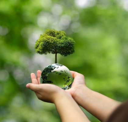 A person is holding a small tree on top of a globe.