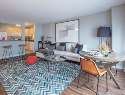 A living room with a grey sofa, a round orange cushion, a round wooden table with a chair and a rug with a chevron pattern. at Park Michigan Apartments, Chicago, IL, 60605