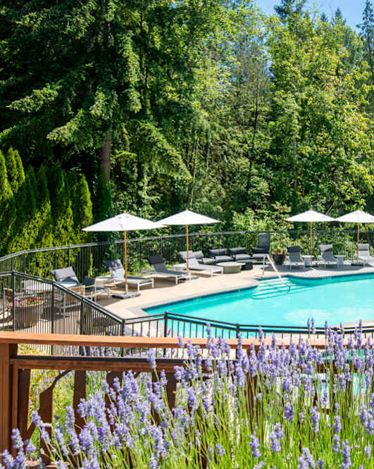 a swimming pool at a resort with trees at Lakemont Orchard, Issaquah Washington