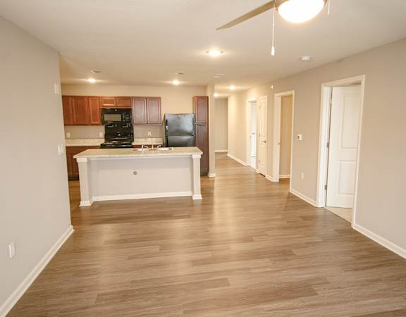 Apartment kitchen and living room area