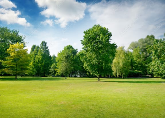 Park with Green Grass at Hampton Apartments in Clearwater, FL 33759