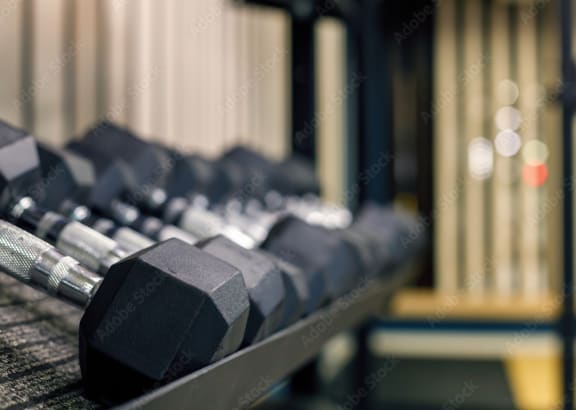 Row of Dumbbells in a Gym at Hampton Apartments in Clearwater, FL 33759