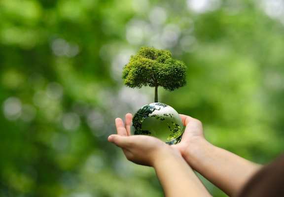 A person is holding a small tree on top of a globe.