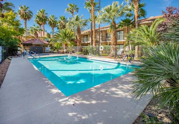 A swimming pool surrounded by palm trees and plants.