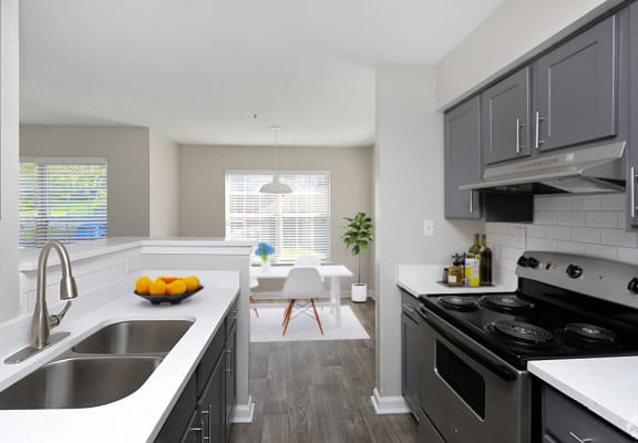 Autumn Vista Apartments In Duluth Ga