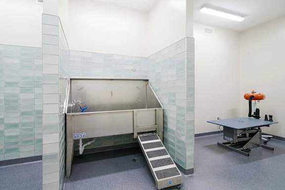 a tiled pet spa with a walk-in shower for larger dogs, a washing station for smaller dogs, and a hair drying station on the penthouse level