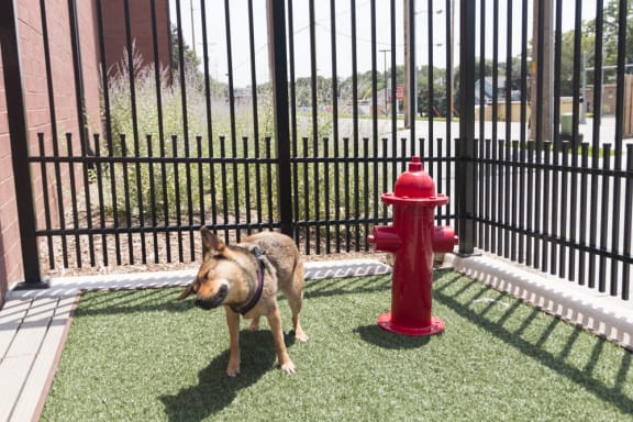 a dog is standing next to a red fire hydrant
