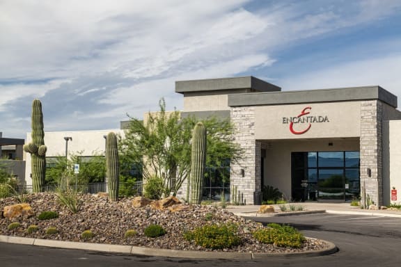 a building with a cactus garden in front of it