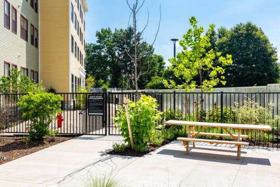 Dog Park at North Square Apartments in Amherst, MA