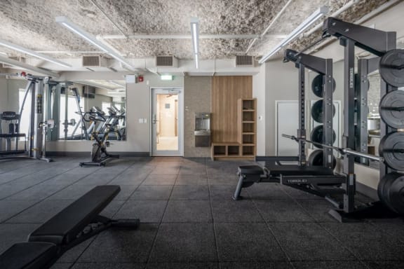 a gym with weights and other equipment in a building with concrete ceilings