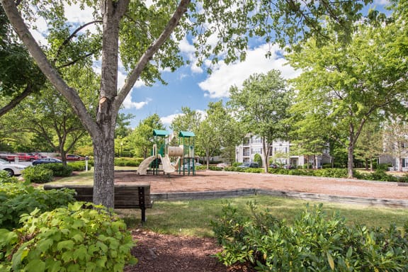 a wooded view of a playground with apartment buildings in the background.