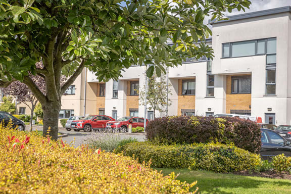 a tree in front of a building with cars in the parking lot