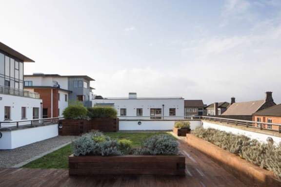 a communal roof terrace with a garden and houses in the background