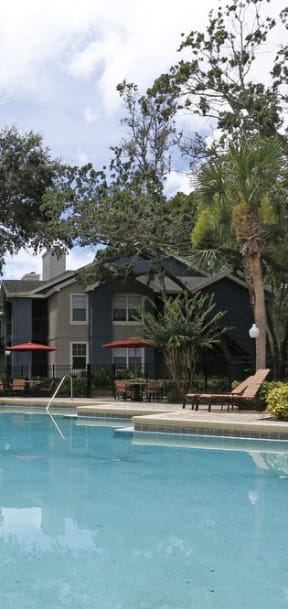 our apartments have a resort style swimming pool