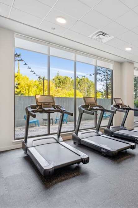 A gym with treadmills and a bench press.