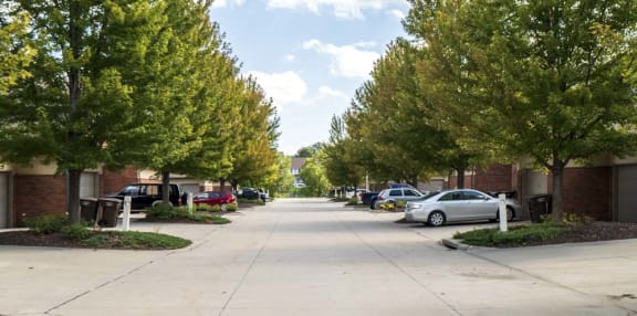 a city street with trees and cars parked on the side