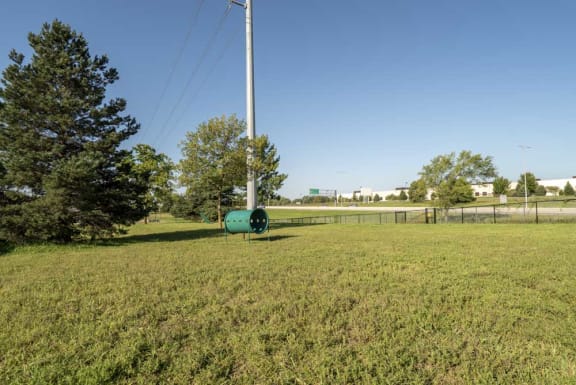 Fenced outdoor pet park with space for dogs to play
