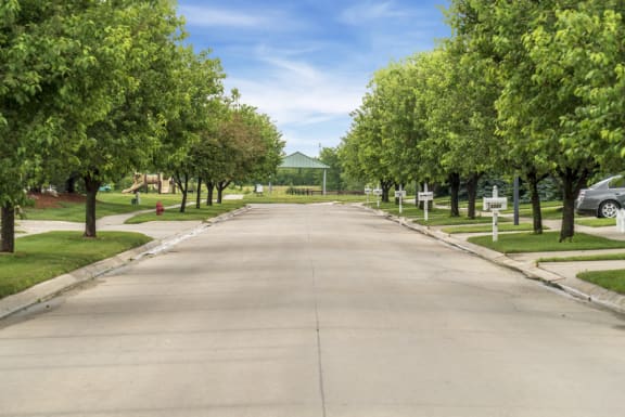 Wide residential street lined with lush green trees