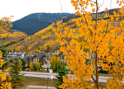 Thumbnail 11 of 19 - Beautiful View Of Tree Leaves at Middle Creek Village LLC, Vail, 81657