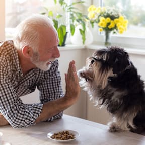 Senior With Dog at The Orion Senior Apartments - Orange, CA, California, 92866