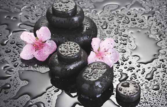 a group of black and white chocolates with pink flowers