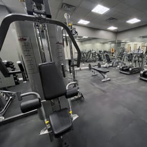 a gym full of weights and cardio equipment