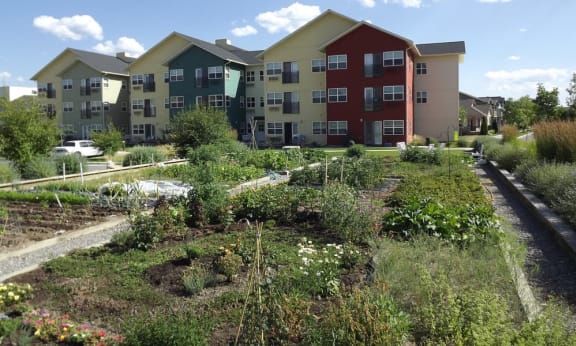 a garden in front of an apartment building