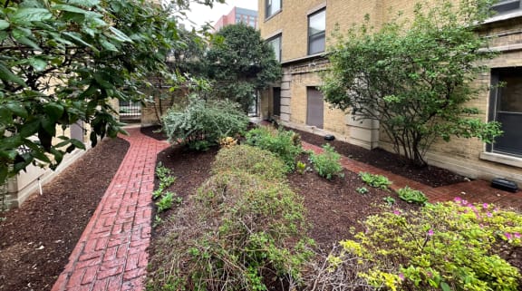 the backyard of a building with a brick walkway and plants