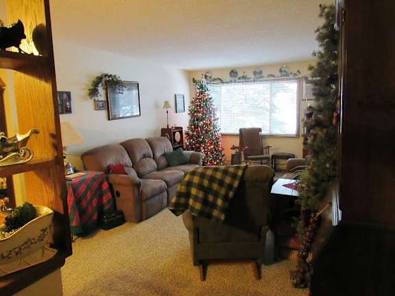 living room apartment forest lake MN