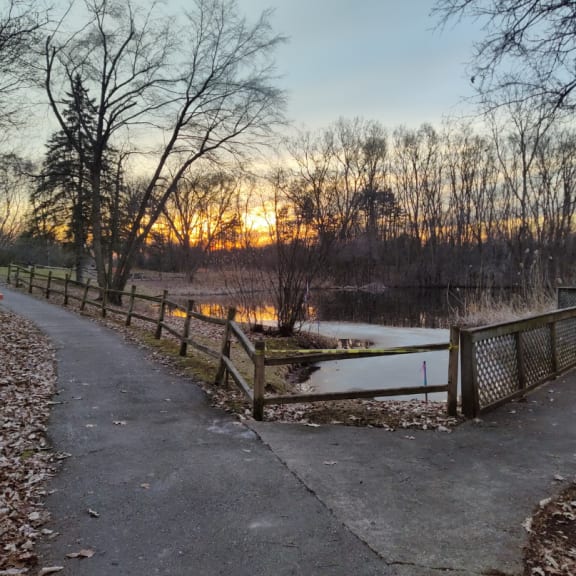 a path next to a pond with trees and a fence