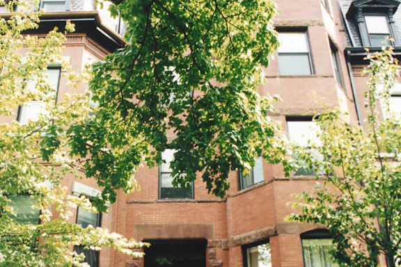 A tree with white flowers is in front of a red brick building.