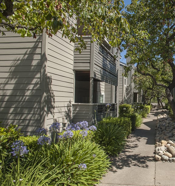 Walking path between buildings at Rocklin Gold apartments 