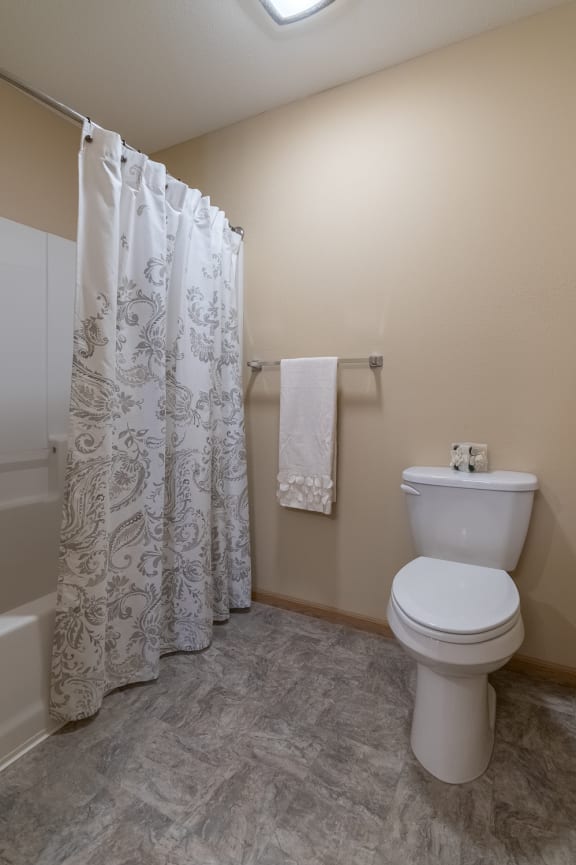 a bathroom with a toilet and a sink and a bath tub