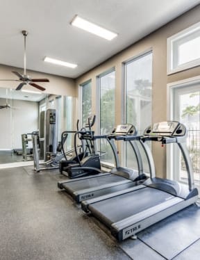 the gym has plenty of cardio equipment and large windows