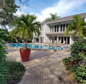 Invigorating Swimming Pool at L'Estancia Apartments in Sarasota, FL