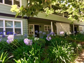 First Street Manor Apartments Prodesse Property Group530 North 1st StreetSan Jose, CA 95112