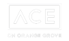 A black and white logo with the letters ACE on orange grove.