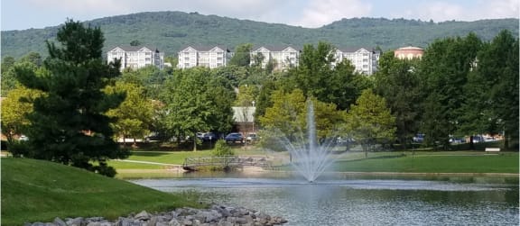 Property from lake view at VistaView, Maryland, 21702