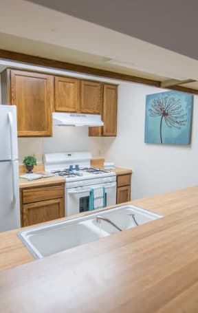 a kitchen with a wooden counter top and a white refrigerator