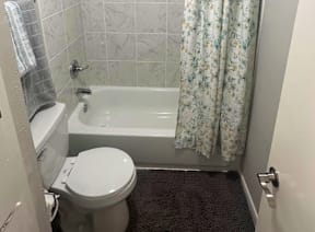 A white toilet sits next to a bathtub in a bathroom.