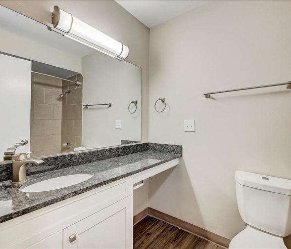 a bathroom with a toilet and a sink and a mirror