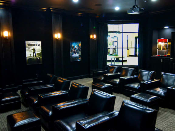 Private screening room at Strathmoor Apartments , Dublin