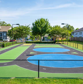 Multi Purpose Sport Court