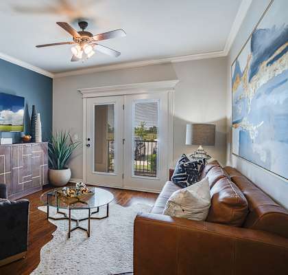 Living Room with Lots of Natural Light